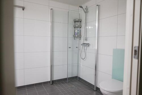 uma casa de banho com um chuveiro e um WC. em Two bedroom apartment, top floor, stunning views em Eidsvoll