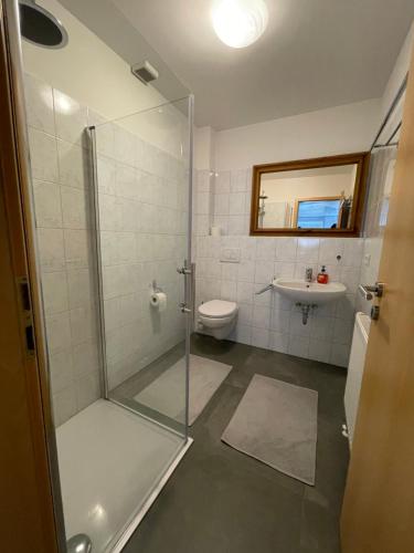 a bathroom with a shower and a toilet and a sink at 1 Zimmer Ferienwohnung 30 qm in Steinen