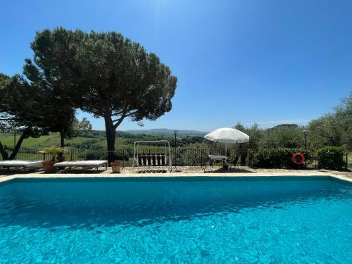 a blue swimming pool with a tree and an umbrella at Agriturismo Vernianello in Poggibonsi