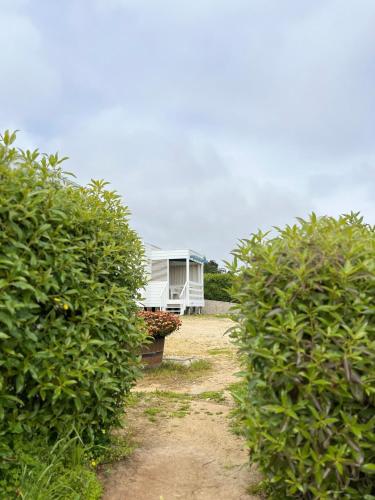 Cabañas Lomas de Pinares – Photos 5