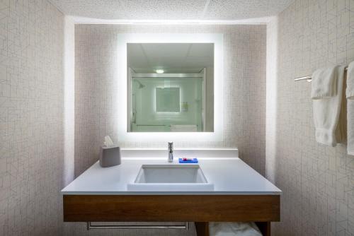a bathroom with a sink and a mirror at Holiday Inn Express State College at Williamsburg Square by IHG in State College