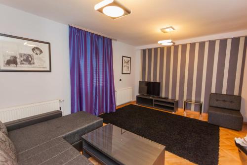 a living room with a couch and a tv at Apartments Neivado in Zlatibor