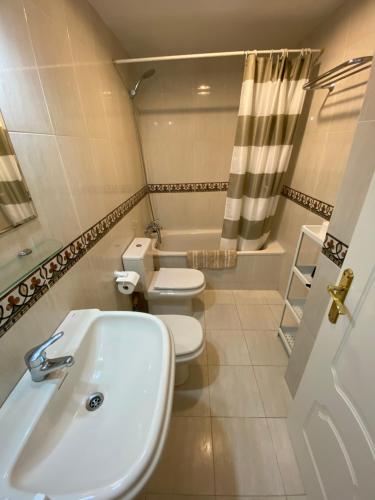 ein Bad mit einem Waschbecken, einem WC und einer Dusche in der Unterkunft Costa Del Sol Seaside Studio - 5 Mins From Beach in Fuengirola