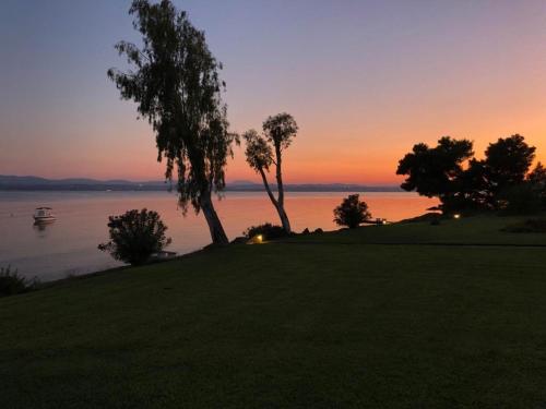 a sunset over the water with trees on a field at Architect designed house with pool and private beach in Eretria