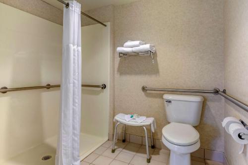 a bathroom with a toilet and a shower at Clarion Suites at the Alliant Energy Center in Madison