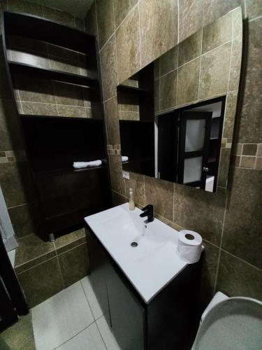 a bathroom with a sink and a mirror and a toilet at Apartamento amoblado en la Francia in Manizales