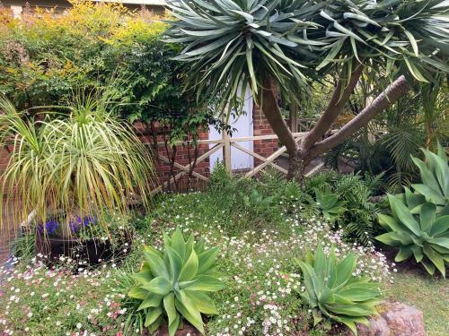a garden with plants and flowers in front of a building at Edge Of The Forest Motel in Margaret River Town