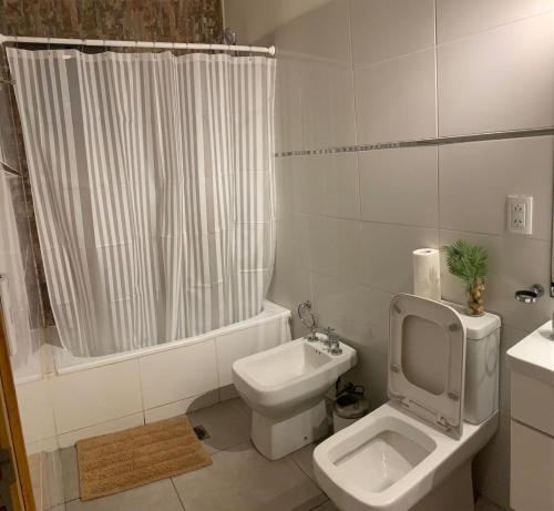 uma casa de banho com um WC, um lavatório e um chuveiro em Pellegrini Apartment Mendoza em Mendoza