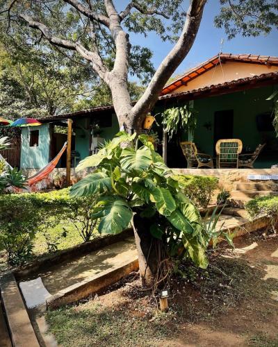 a tree in front of a house at Pousada Canto Feliz in Serra do Cipo