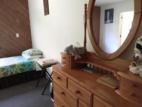 a bedroom with a mirror and a dresser and a bed at Waiotemarama Falls Lodge in Opononi