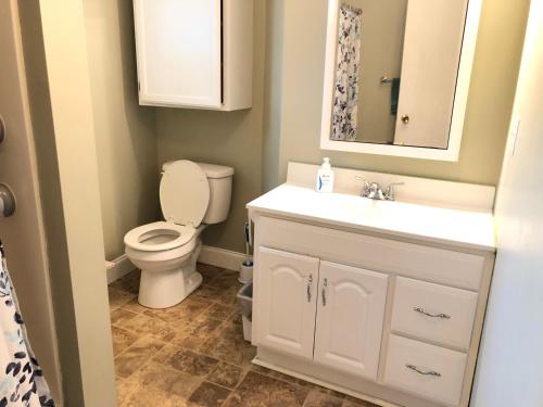 a bathroom with a toilet and a sink and a mirror at The Lodge Dog and Family Friendly 5 Bedrooms 13 guests 10 beds in Saint Peter