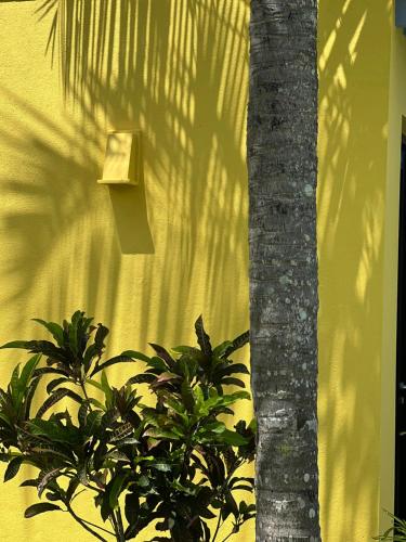 a shadow of a palm tree next to a yellow wall at Buckingham Place in Tangalle