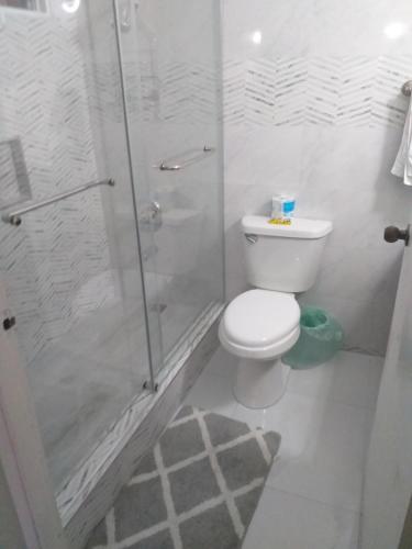 a white bathroom with a toilet and a shower at Pool View Apartment in Camperdown