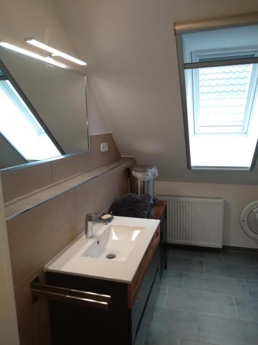 a bathroom with a sink and a large mirror at Ruhige Nachbarschaft in Hamminkeln