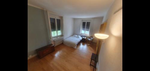 a living room with a bed and two windows at Sonnegg Guest Rooms Inh M Bisegger in Zurich