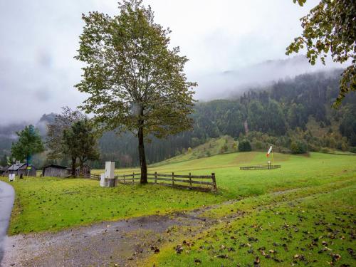 a tree in a field with a fence at Apartment in Bichlbach near Ski Slopes in Bichlbach
