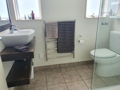 a bathroom with a toilet and a sink and a shower at MoanaViews in Nelson
