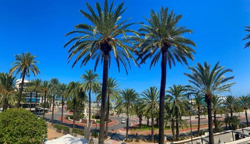 a group of palm trees in a park at Hostal L'Anfora in Denia