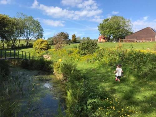The Hobbit Hole – Photos 2