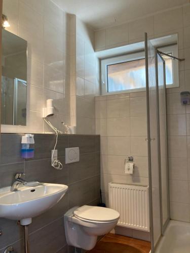 a bathroom with a toilet and a sink and a shower at Landhotel Vosse-Schepers in Rhede
