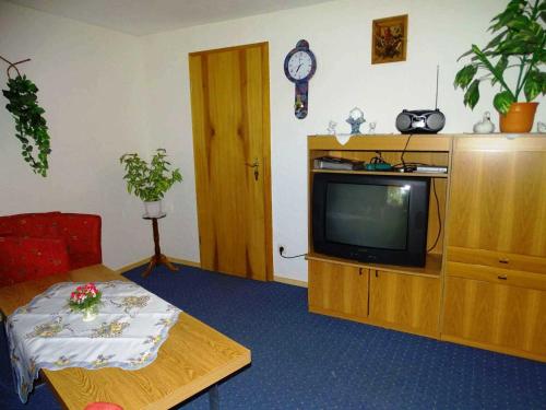 a living room with a tv and a table at Ferienwohnungen Jonas in Garz-Usedom