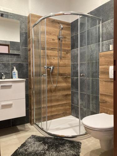 bagno con doccia e servizi igienici. di Apartmán Monika a Kraslice