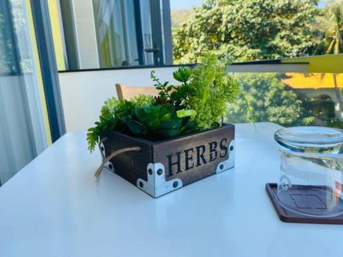 a plant in a wooden box on a table at VIVU HOMESTAY VUNG TAU in Vung Tau