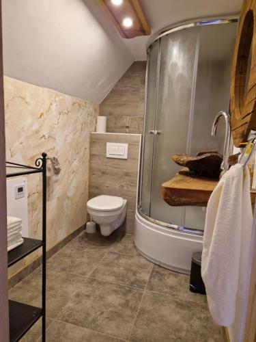 a bathroom with a shower and a toilet at koča na pikovem in Črna na Koroškem