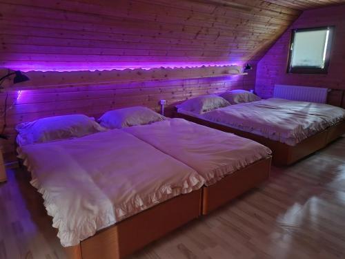 2 camas en una habitación con luces moradas en koča na pikovem en Črna na Koroškem