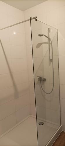 a shower with a glass door in a bathroom at Hotel Przylesie in Sierosław