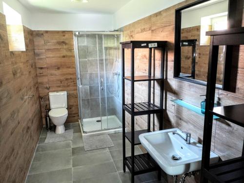 ein Bad mit einem WC, einem Waschbecken und einer Dusche in der Unterkunft Apartmány Na hrnčírně in Suchdol nad Lužnicí