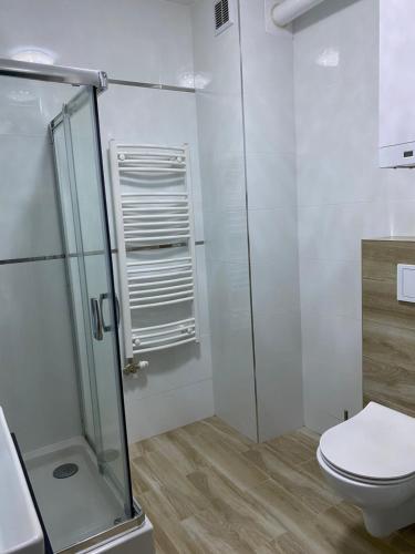 a bathroom with a shower and a toilet at Apartament w Wiśle in Wisła