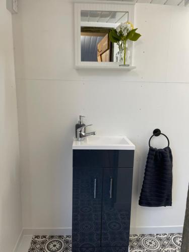 a bathroom with a sink and a mirror at The Shepards hut in Blaencelyn