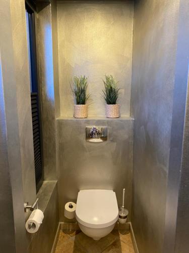 a bathroom with a toilet and two potted plants at country-suites by verdino LIVING - Apartments & Privatzimmer in Braunlage
