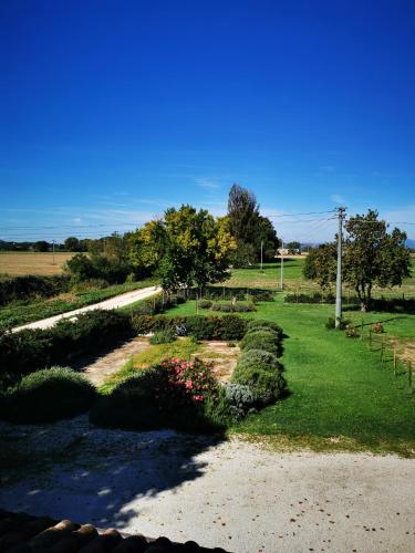 a garden with bushes and flowers in a field at La Casa dei Tigli in Cannara