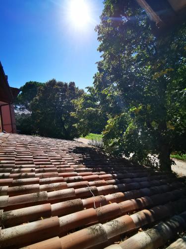 a roof of a house with trees in the background at La Casa dei Tigli in Cannara