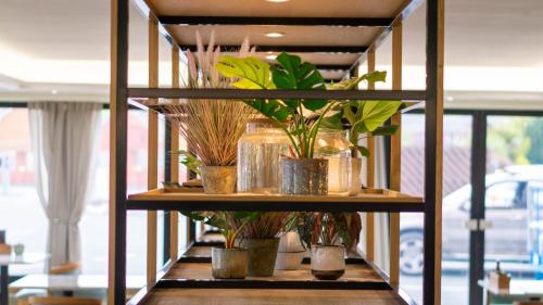 a shelf with potted plants on it in a room at Aberystwyth Park Lodge Hotel in Aberystwyth