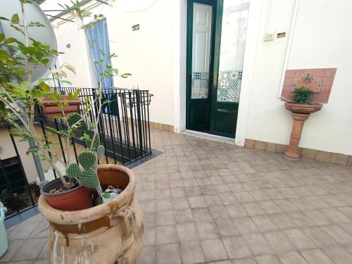 a porch with potted plants in front of a door at Arco del vescovo 2 in Acireale