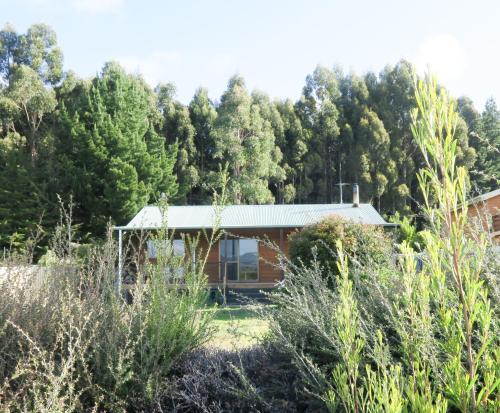 a house in the middle of a forest at Radcliffe Retreat and Spa Cottage Port Arthur in Port Arthur