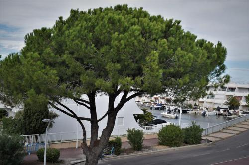 un arbre au bord d'une rue à côté d'une marina dans l'établissement studio cabine 100m plage, au Grau-du-Roi