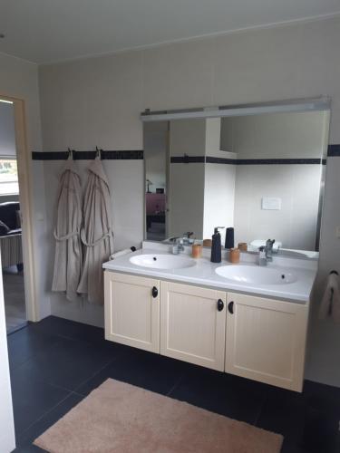 een badkamer met 2 wastafels en een grote spiegel bij Gastenverblijf De Handwijzer in Hengelo