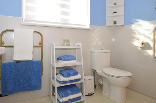 a bathroom with a white toilet and blue towels at Bay View in Lochgilphead