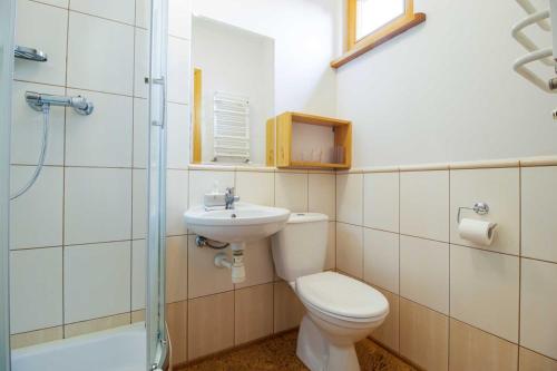 W łazience znajduje się toaleta, umywalka i prysznic. w obiekcie Wiśniowy Sad w Białowieży