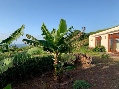 Giardino di Palmeira Da Cruz EcoLodge