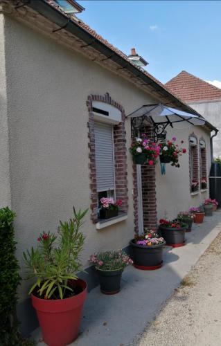 Maison cocoon et chaleureuse : مجموعة من النباتات الفخارية على جانب المبنى