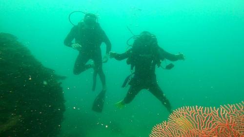 two people swimming in the water near a reef at Ten RooMs in Telukbakau