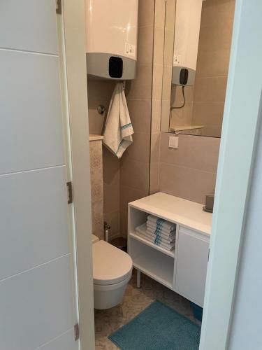 a small bathroom with a toilet and a sink at Barbi Blue Apartments in Herceg-Novi