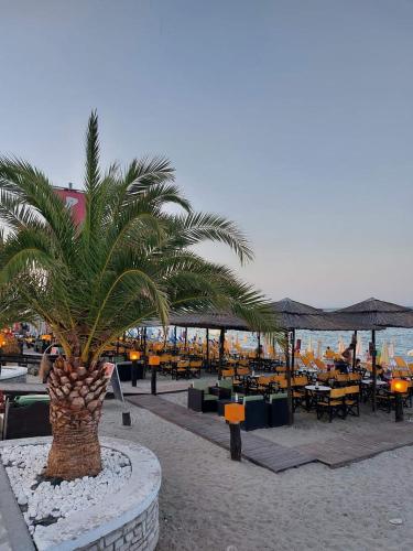 a palm tree in a pot on the beach at Oniro Rooms & Suites in Leptokaria