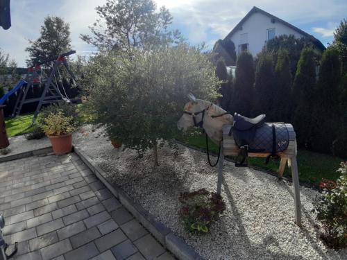 ein Pferd, gefesselt an eine Bank in einem Garten in der Unterkunft Ferienwohnung Ludwigshöhe in Kempten