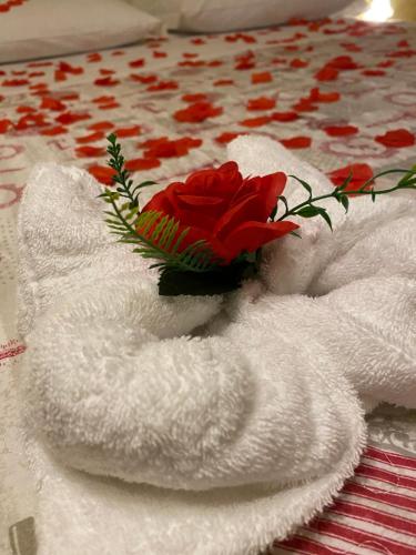 ローマにあるVaticanSky roomsの白いタオルとテーブルの上に置かれた赤いバラ